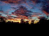 A gorgeous sunset!